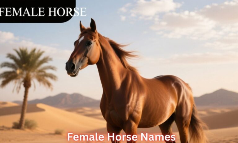 female-horse-names