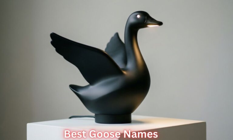 best-goose-names