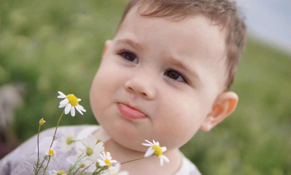 japanese-flower-names-for-boys