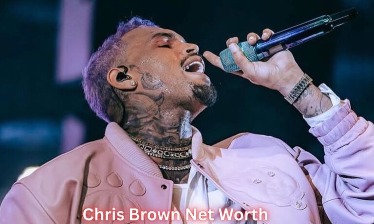 Chris Brown Net Worth